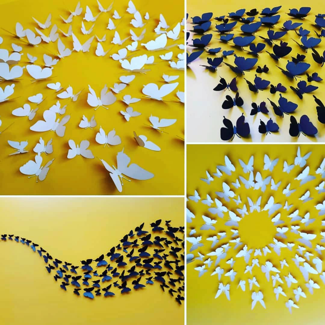 فروش پروانه های سه بعدی مشکی و سفید انواع چیدمان پروانه رو دیوار اتاق